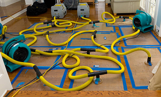 Professional Flood Damage Restoration technician working in Onyx, CA